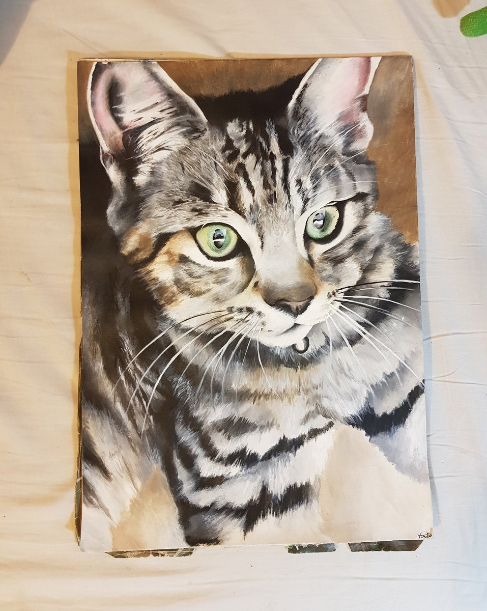 TheAmberArt1's tweet photo. Lots of cat commissions to do, not that I'm complaining! 
Here's a recent commission which might I say, I'm rather happy with. 
#art #painting #acrylicpainting #acrylic #sketchbook #catpainting #realism #realismpainting https://t.co/Wfa9Ab6KR8
