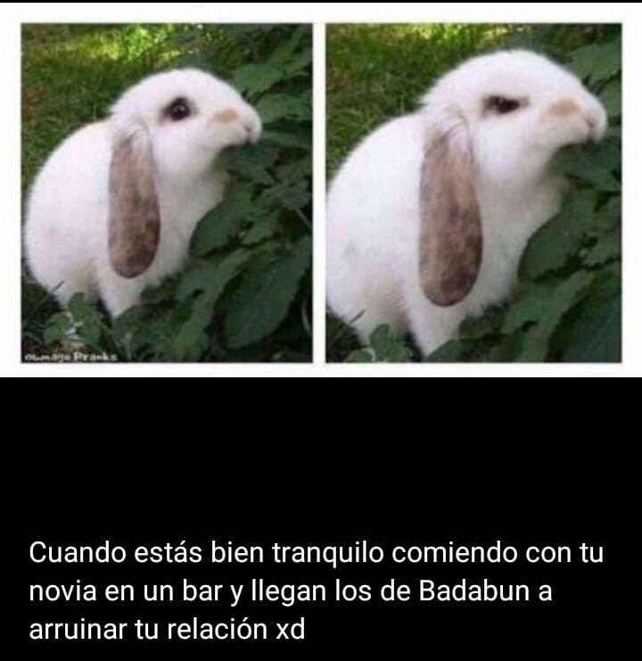 BTA_Blog's tweet image. 👌🏻😂