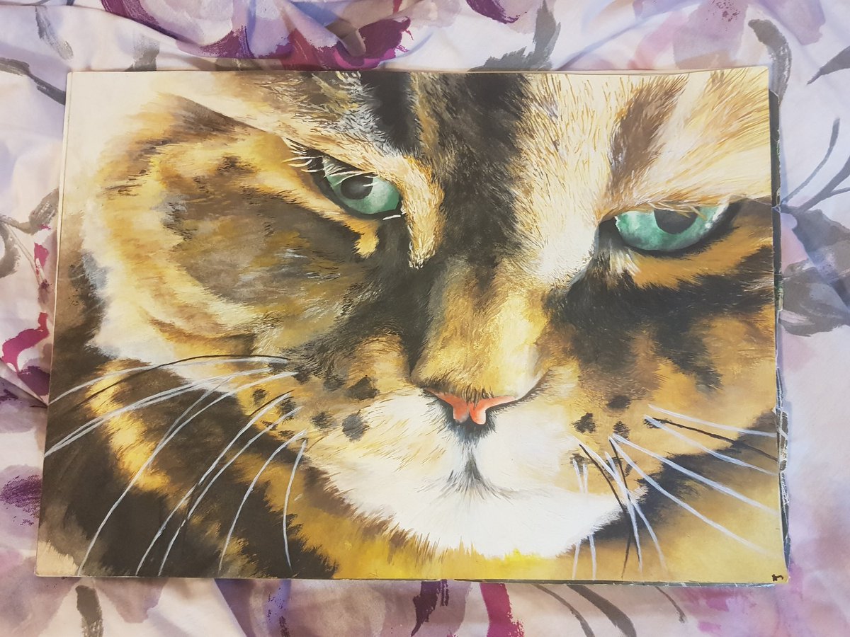 TheAmberArt1's tweet photo. Yet another cat commission, it's a good job I'm a fan of cats!

#cat #catpainting #commissionpainting #drawing #art #painting #acrylics #acrylicpainting #realism #realismpainting https://t.co/SGbqRSQvAQ