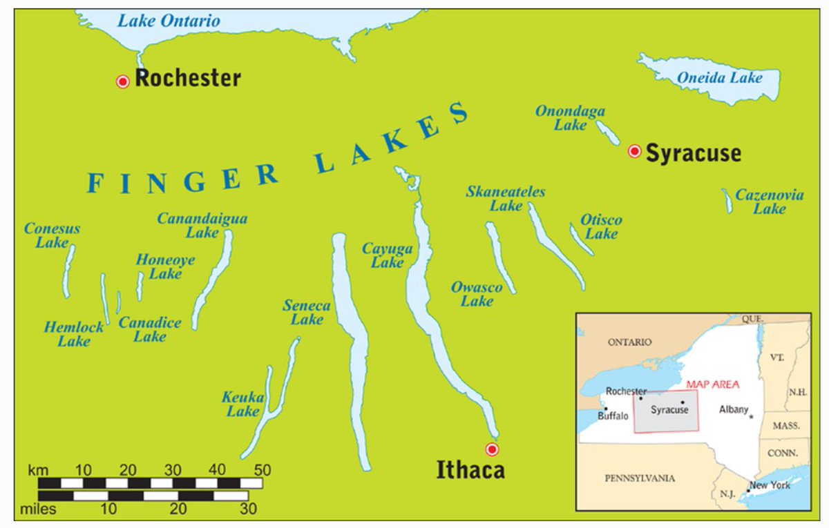 Did you know... New York is the 3rd largest wine producer in the United States? And we're proud to be here in the Finger Lakes- New York's largest wine producing region. #winefactwednesday #flx