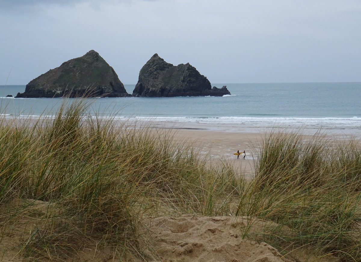 BevHunt72's tweet photo. So after 3 1/2 hours I reached my #Walk17 of 50 for @HumanimalTrust goal - #HolywellBay to #Crantock #Cornwall - 11,150 steps and 5 miles - it was a grey & chilly, wildlife rich, good end to the holidays sort of stroll...😄😄😄
https://t.co/dxBulGmP08 https://t.co/inV3U9byli