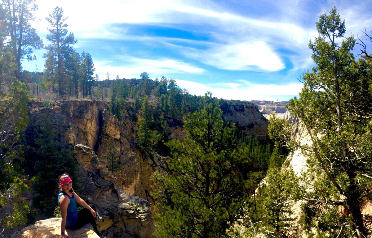 Start the new year with new adventures 🎉🏕 Outdoor Adventures provides a variety of excursions including hiking in Julian, rafting &amp; horseback riding in Yosemite, and much more! link to register: cougaraccess.csusm.edu/Course/Search.…