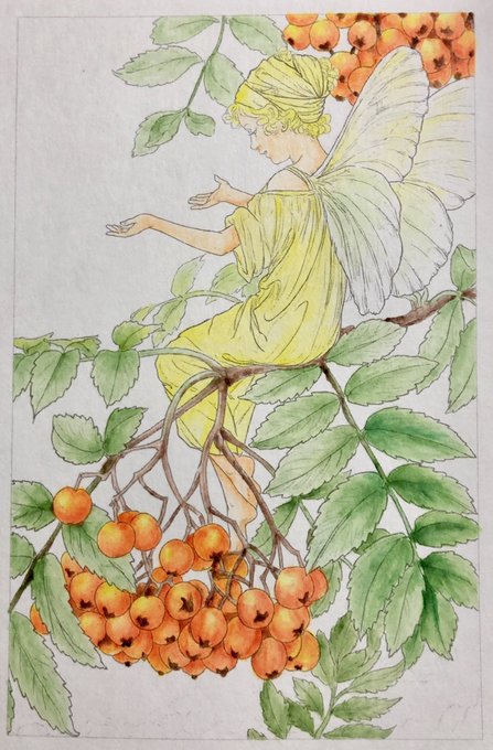 秋の花の妖精のtwitterイラスト検索結果 秋の花の妖精のtwitterイラスト検索結果