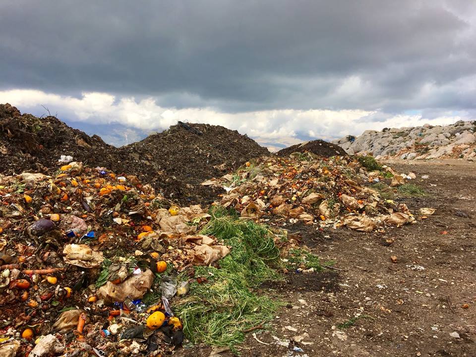 Compost Baladi tweet media