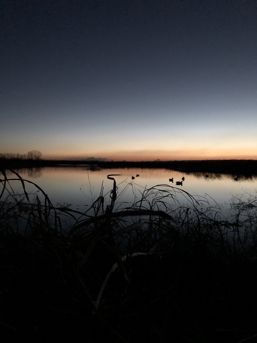 solocupped's tweet photo. Gotta love an Arkansas Sunrise and the calm before the shooting starts #Arkansas #ducks #sitkagear #sickforit #Benelli https://t.co/EubQiWiq9U