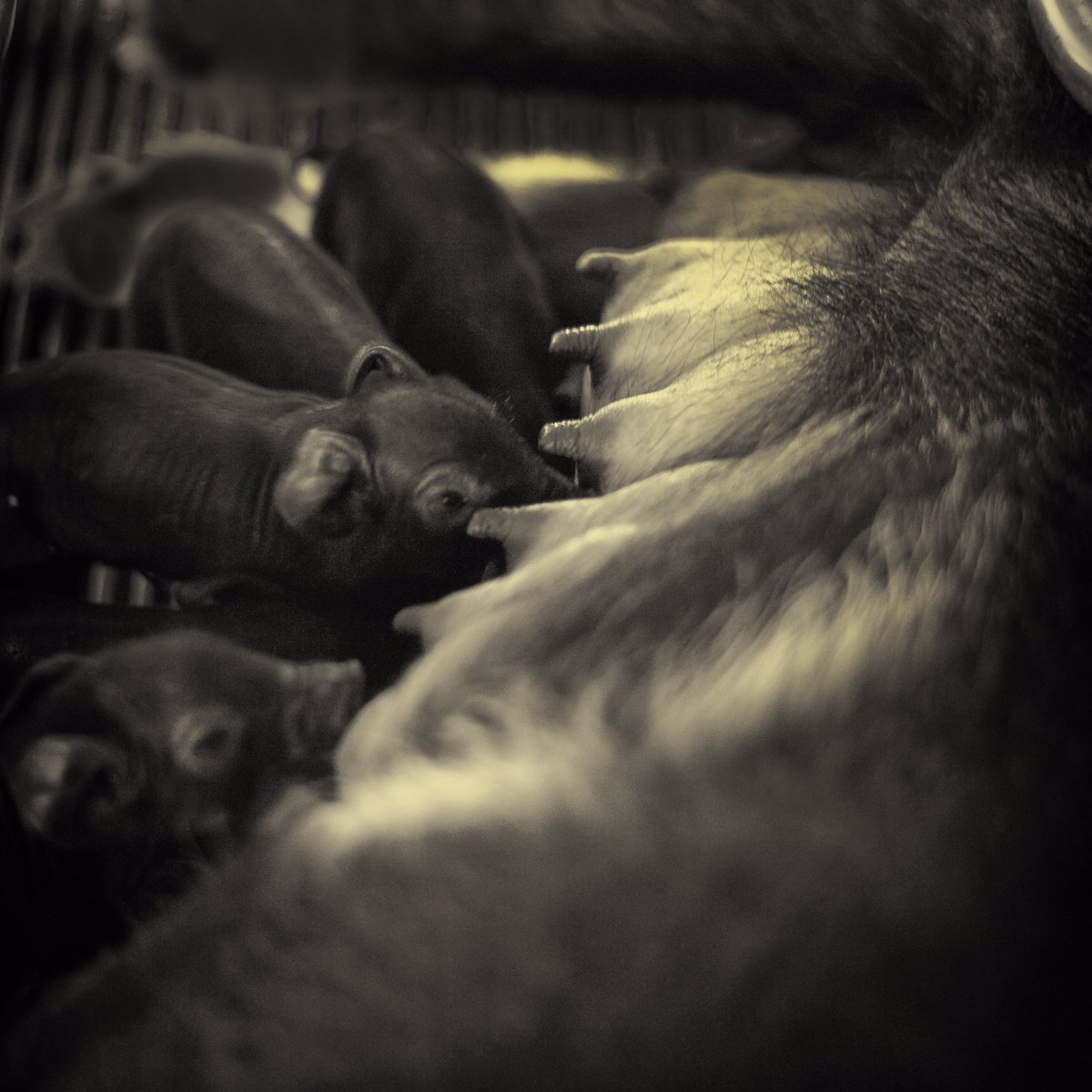 Happy all the time ! 2019