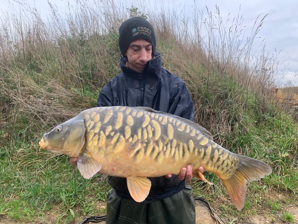 Need some young fit carp for you Fishery? Call VSF on 07843306661. Great late season deals available #carp #VSFisheries #mirrorcarp #deals