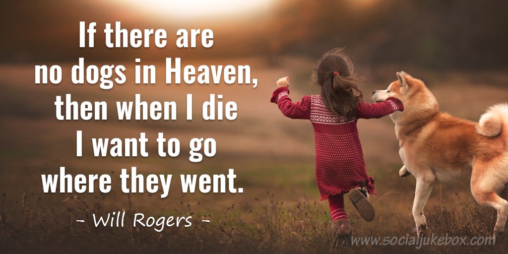 Anne-Maria Yritys on Twitter: "If there are no dogs in Heaven, then when I  die I want to go where they went. - Will Rogers #quote  https://t.co/excf99G9Jy" / Twitter