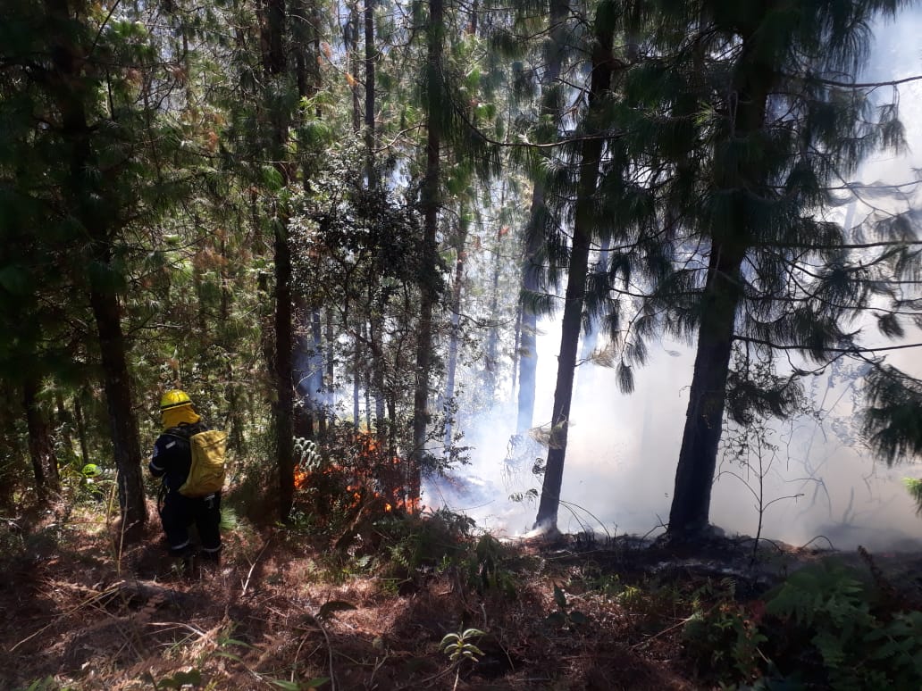 A esta hora atendemos incendio forestal en Don Diego sector la Lorena, #bomberosforestalesenlucha 12 unidades de @bomberoelretiro y tres vehículos. Hasta el momento controlado. Las causas están por esclarecer
