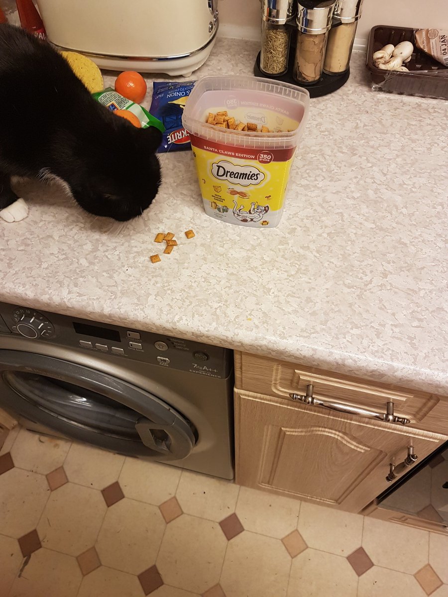 "Help yourself  Lily " 🤣 <a href="/DreamiesUK/">Dreamies Cat Treats</a>