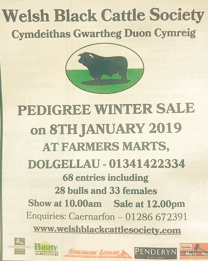 A little less than a week to go! Llai na wythnos I fynd!Blwyddyn Newydd Dda pawb! Happy New Year to all! #nativebreeds #Bulls #pedigree #calving2019 #welshblack #supersuckler