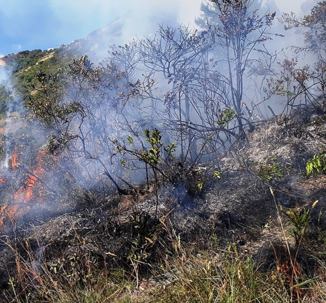 WRadioColombia's tweet photo. En Boyacá se registran 6 incendios forestales que han consumido 60 hectáreas de vegetación >> https://t.co/YIS2g1Gdwl https://t.co/5APaLdShpz