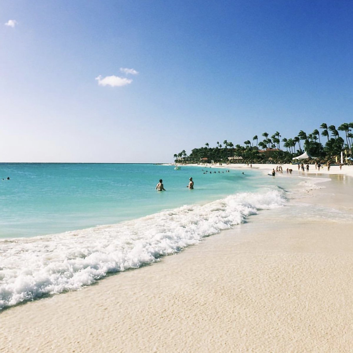 Divi & Tamarijn Aruba All Inclusives tweet media