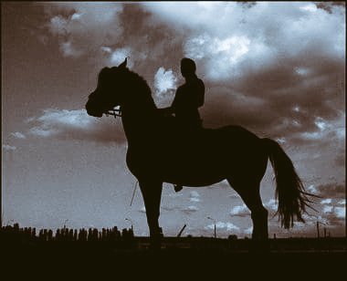 ‏‎#عذب_آل_إحساس 𓅆 ۗۗۗۗ tweet media