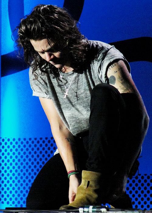 best of harry. tweet media