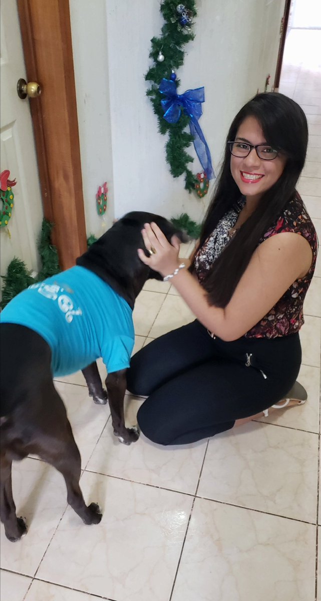 katysancer's tweet photo. Cuando alguien invade mis fotos 🐶😍❤ #BaileyBB https://t.co/VPNk9tNQuV