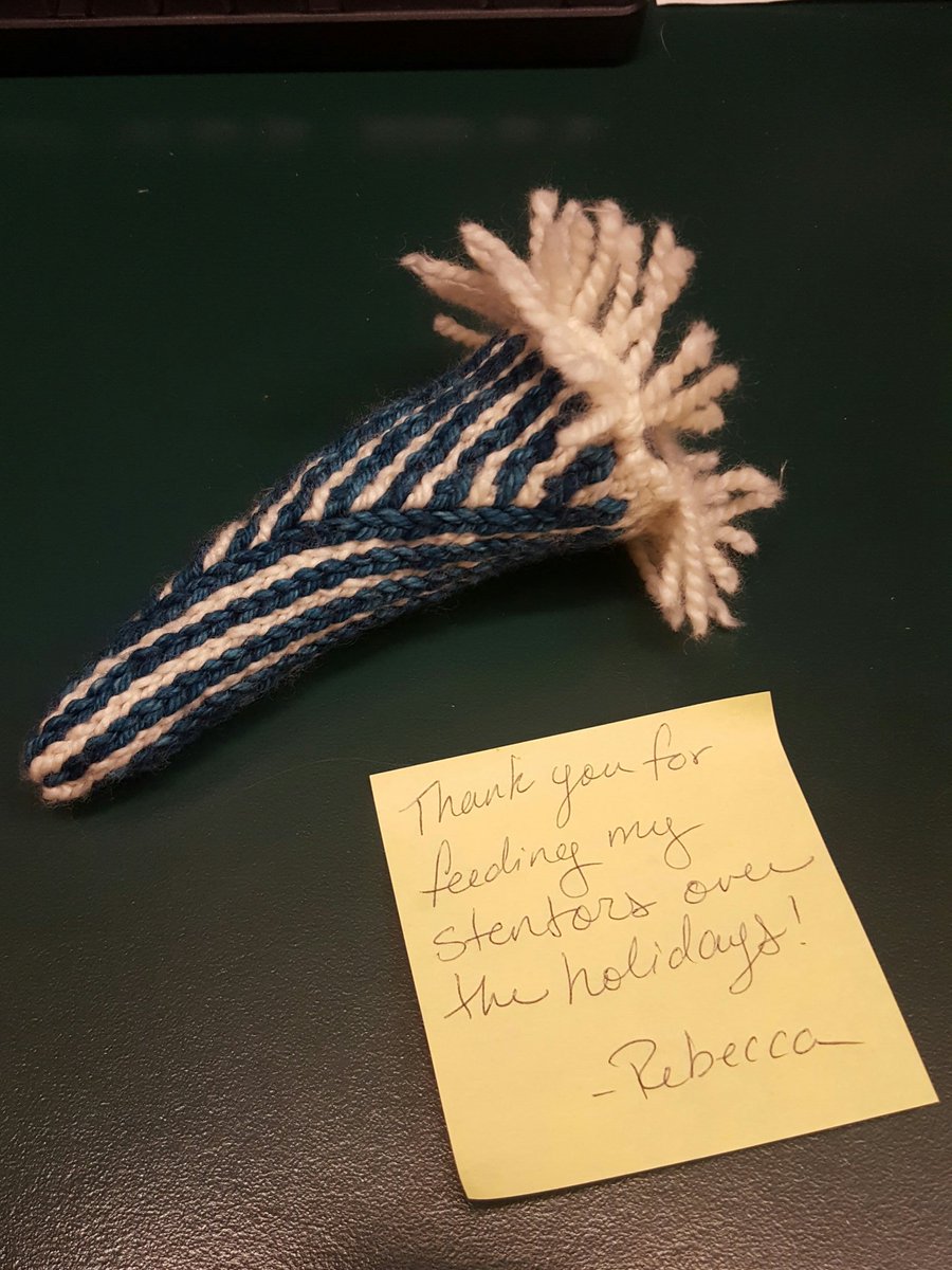 This 3D rendering of stentor has precisely replicated the cortical rows, oral apparatus, membranellar bands, and cuddlyness.