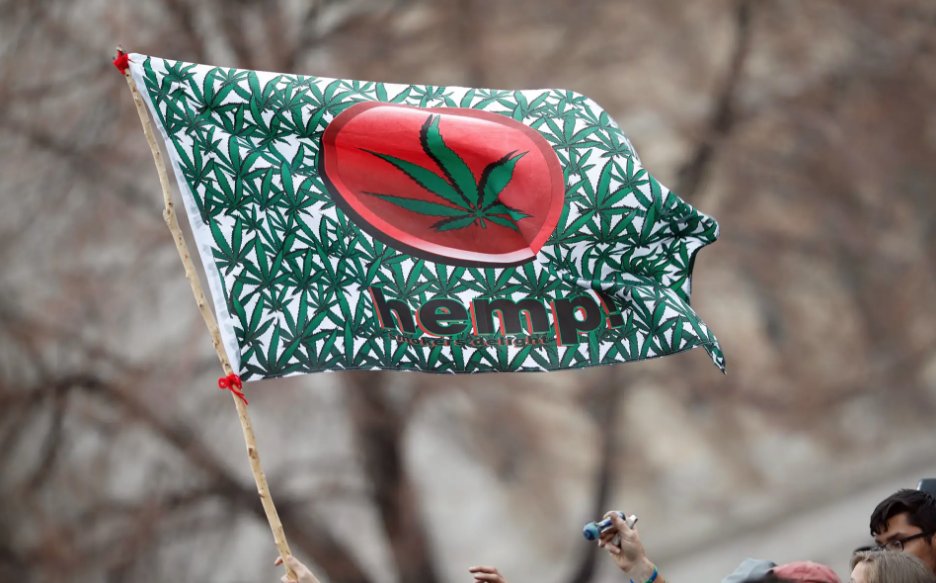 RollingStone's tweet photo. Why 2019 will be the year of weed https://t.co/yliP57MwRe https://t.co/isqDNjWi1u