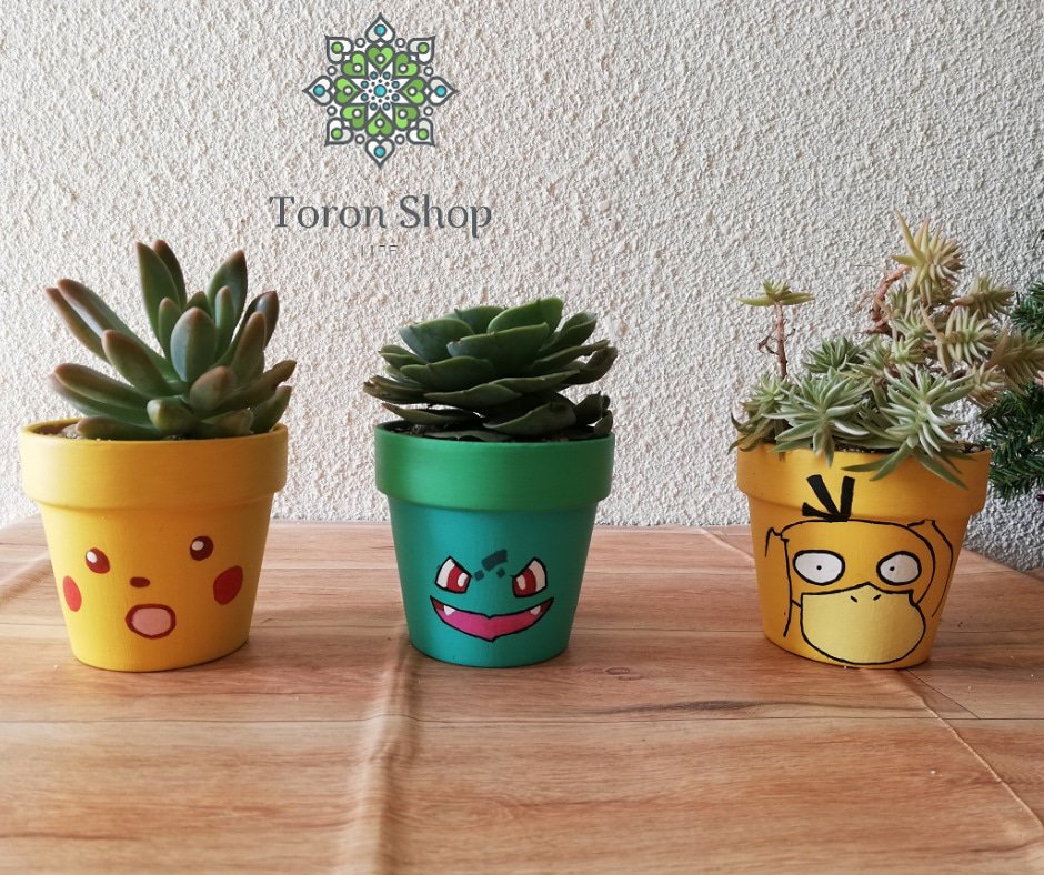 ShopToron's tweet photo. Macetas personalizadas a tu elección
#toronshop #amamoslassuculentas #succulents #suculentas #naturaleza #amor #personalizado #pokemon #bulbasaur #pikachu #psyduck https://t.co/9DUAdNmmFD