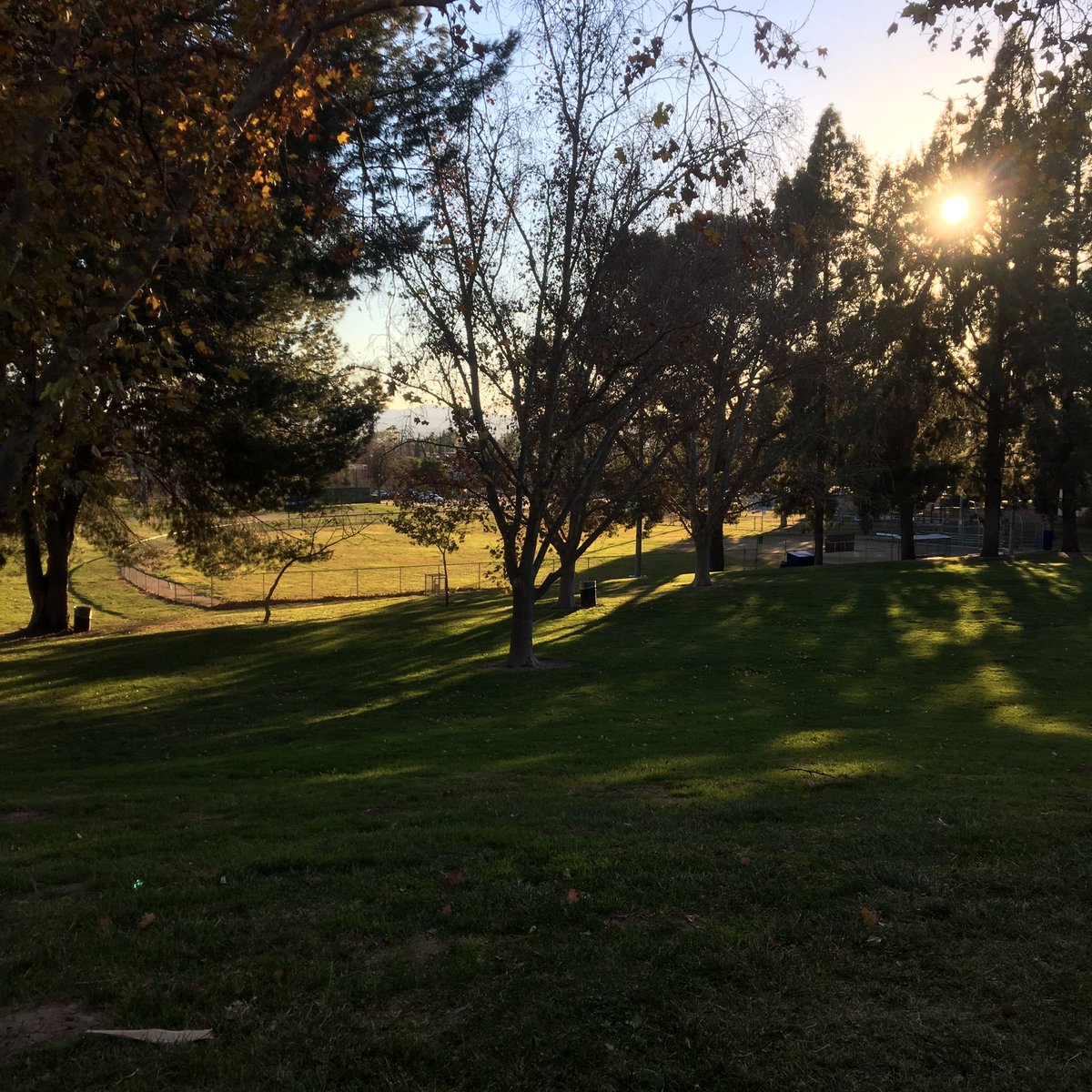 LA07245214's tweet photo. Such a beautiful day:)
#laできいてみた #公園 #いい天気 #park #walking #beautifulday #prettyweather #sun #relax #la https://t.co/ud4ovKWTet