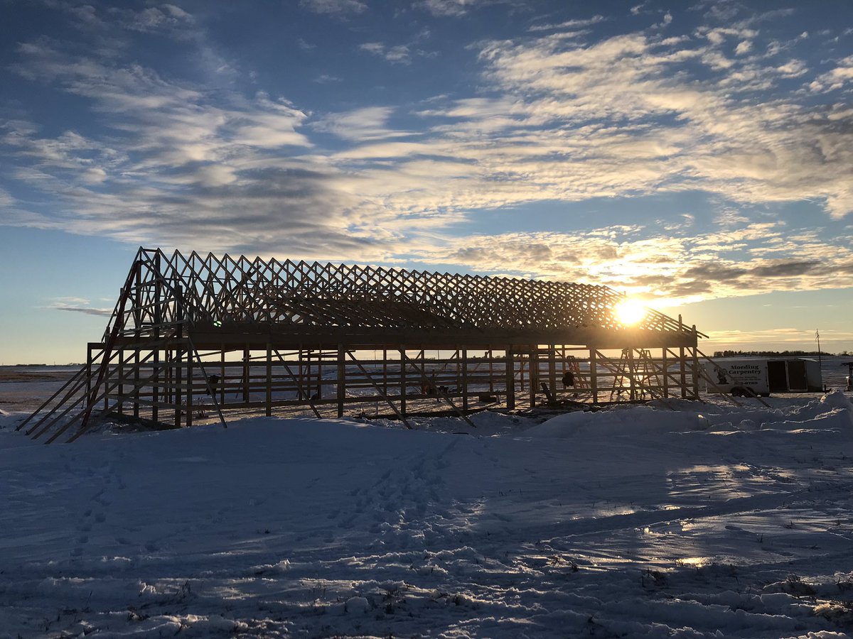 jmoeding75's tweet image. Rafters set on the (pole barn house)