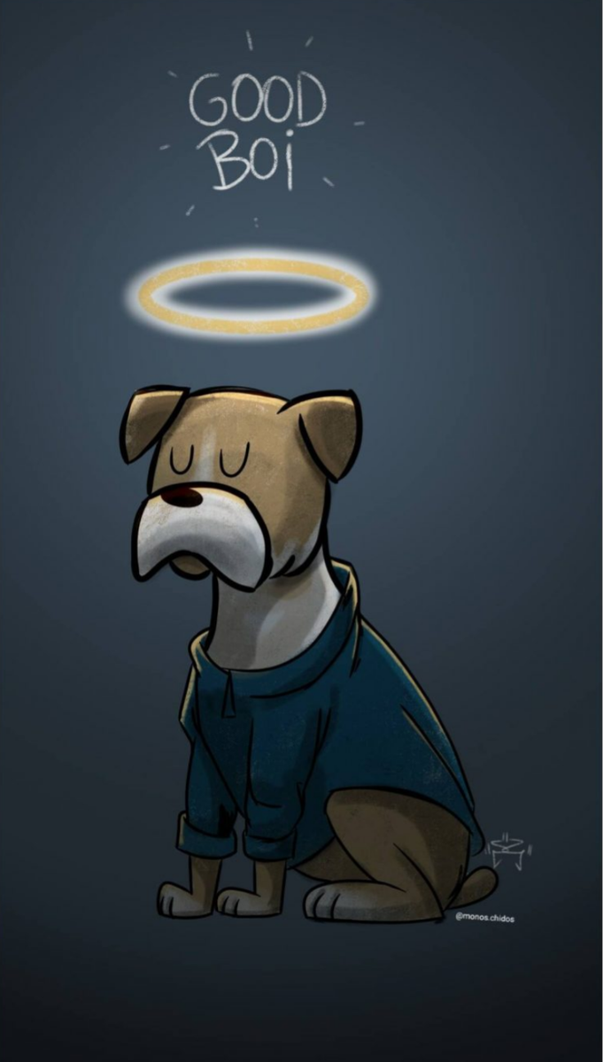 IngridBhp's tweet photo. #JusticiaParaMiguel 
Es muy triste saber que hay gente que maltrata a los animalitos. 
Ahora Miguel es un angelito en el cielo y merece que hagan justicia por él.
Por favor ayudenme entrando al link y firmando, se los agradeceré mucho🙏🏻 
https://t.co/xUg7ncW09l https://t.co/JB6Ay8maKC