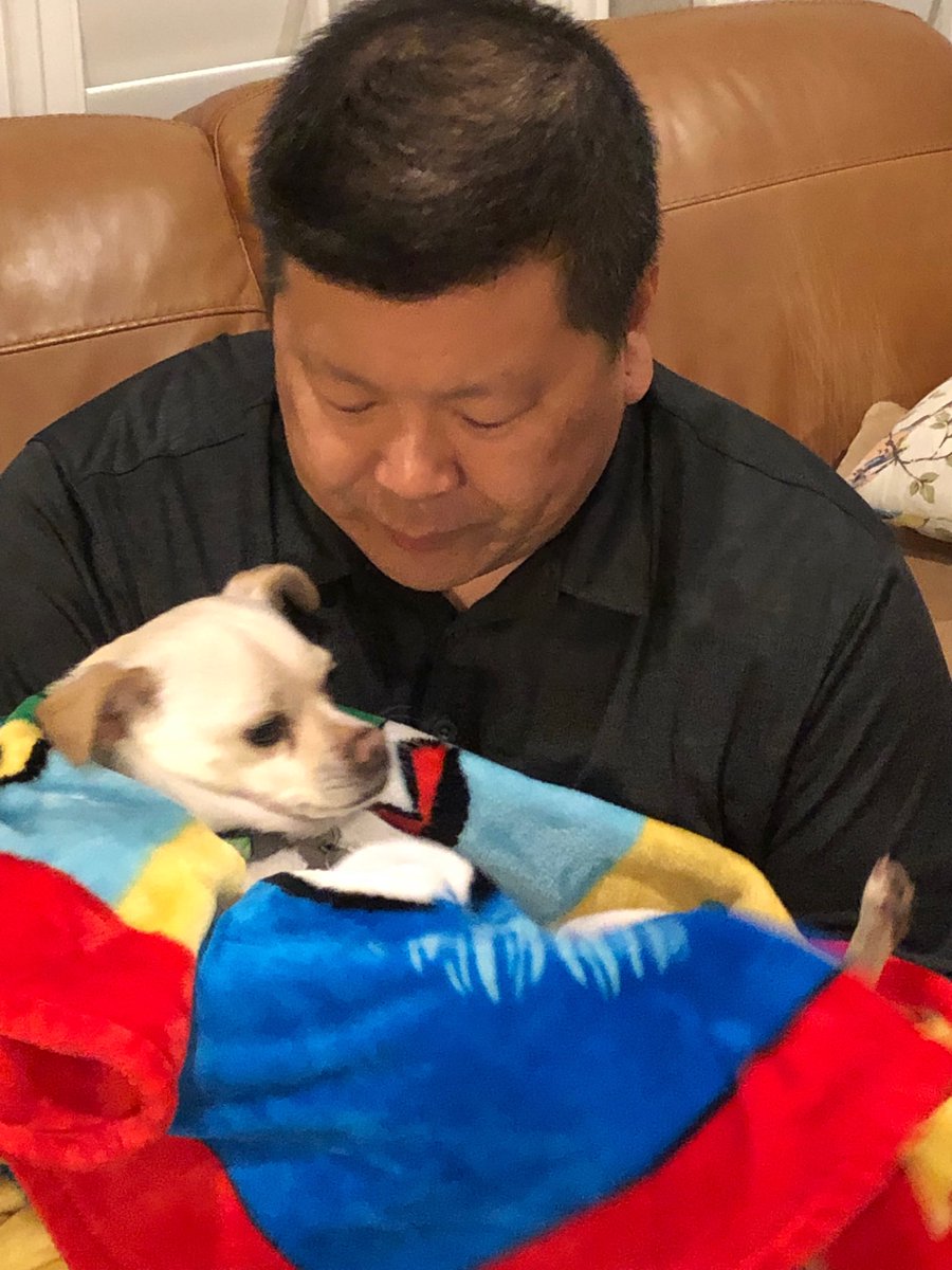 libbyshims's tweet image. #spoileddoggo ⁦@ShimbashiBlair⁩ sure loves his Apollo