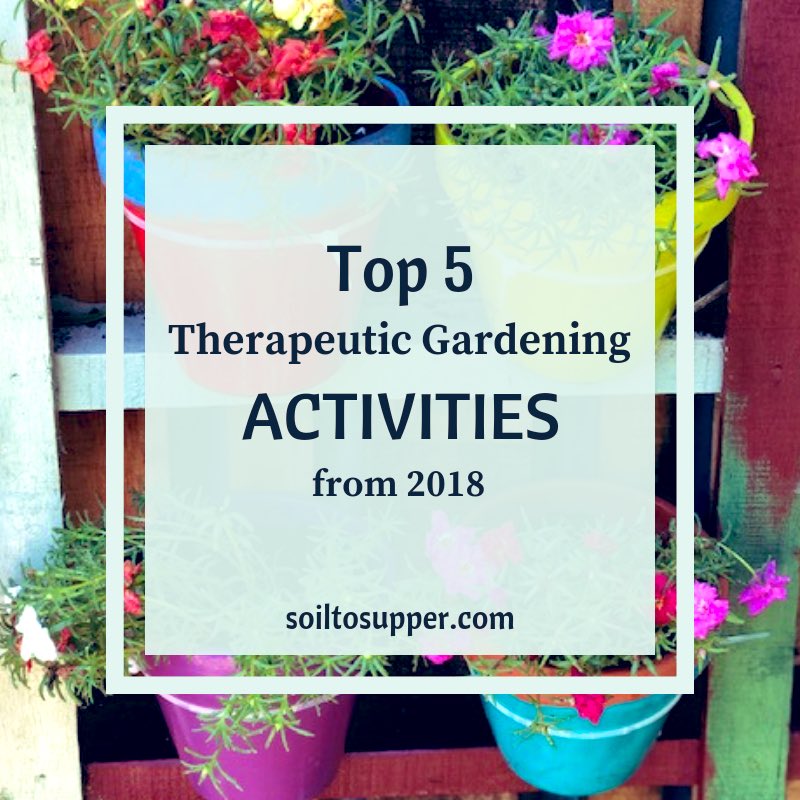 soiltosupper's tweet photo. Our #gardening groups enjoyed a range of fabulous activities in 2018! I’ve put the most popular in my latest article to inspire more growing fun. https://t.co/KzBRAv8Tbb #therapeuticgardening #soiltosupper @LanternOz https://t.co/uSMXPuIPdB