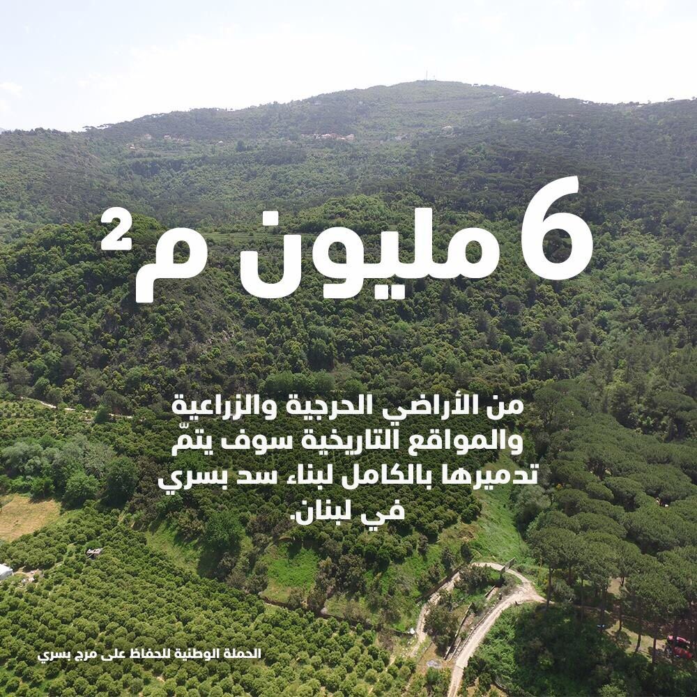 paulabirashed tweet picture