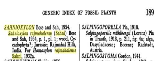 5.2/4 He perf extensive res on Indian conifers&fossil plants 4m Rajamahal Hills, & Gondwana plnts of salt range.He disc new species of petrified wood in Rajmahal Hills aka SAHNIoxylon Rajmahalense aft him.He instituted new plant group Pentoxyleae which gained worldwide attention.