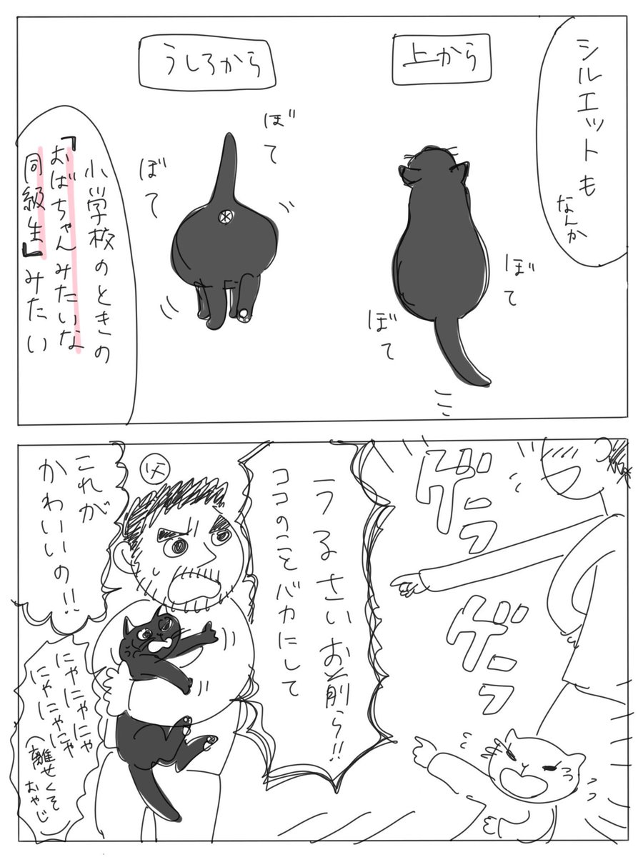 ココちゃん 