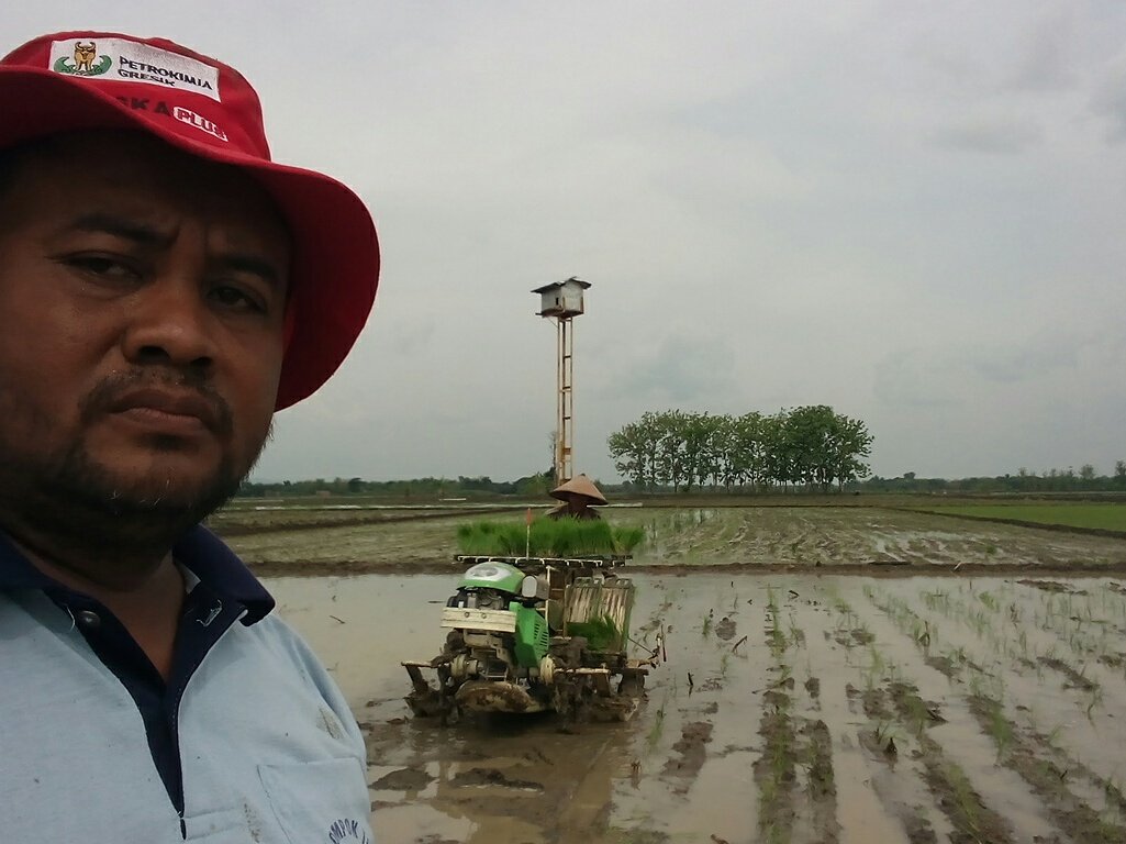 1. Pemanfaatan tehnologi jarwo super,
2. Penggunaan pupuk hayati dan organik atasi levelling off, 3. Pengendalian opt terpadu untuk meningkatkan provitas tanaman.
Merupakan upaya peningkatan provitas tanaman padi sehingga petani lebih sejahtera dengan tambahan produksi