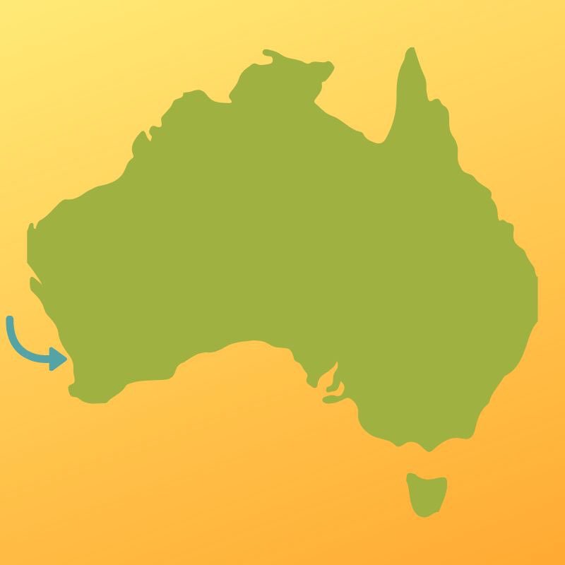 Looking for farm kids to photograph &amp; interview in SA &amp; WA in Feb for my next book project called Little Farmers! If you know a farm kid that just loves the farm or they might have their own little business please send me a DM! #whatdoesafarmerlooklike #littlefarmers