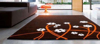 There are many reasons why you should use a professional carpet cleaning company . Your carpet is in use 24/7 even when you are not walking on them your carpets still collect and lock dust bacteria &amp; other allergens that are in the air.