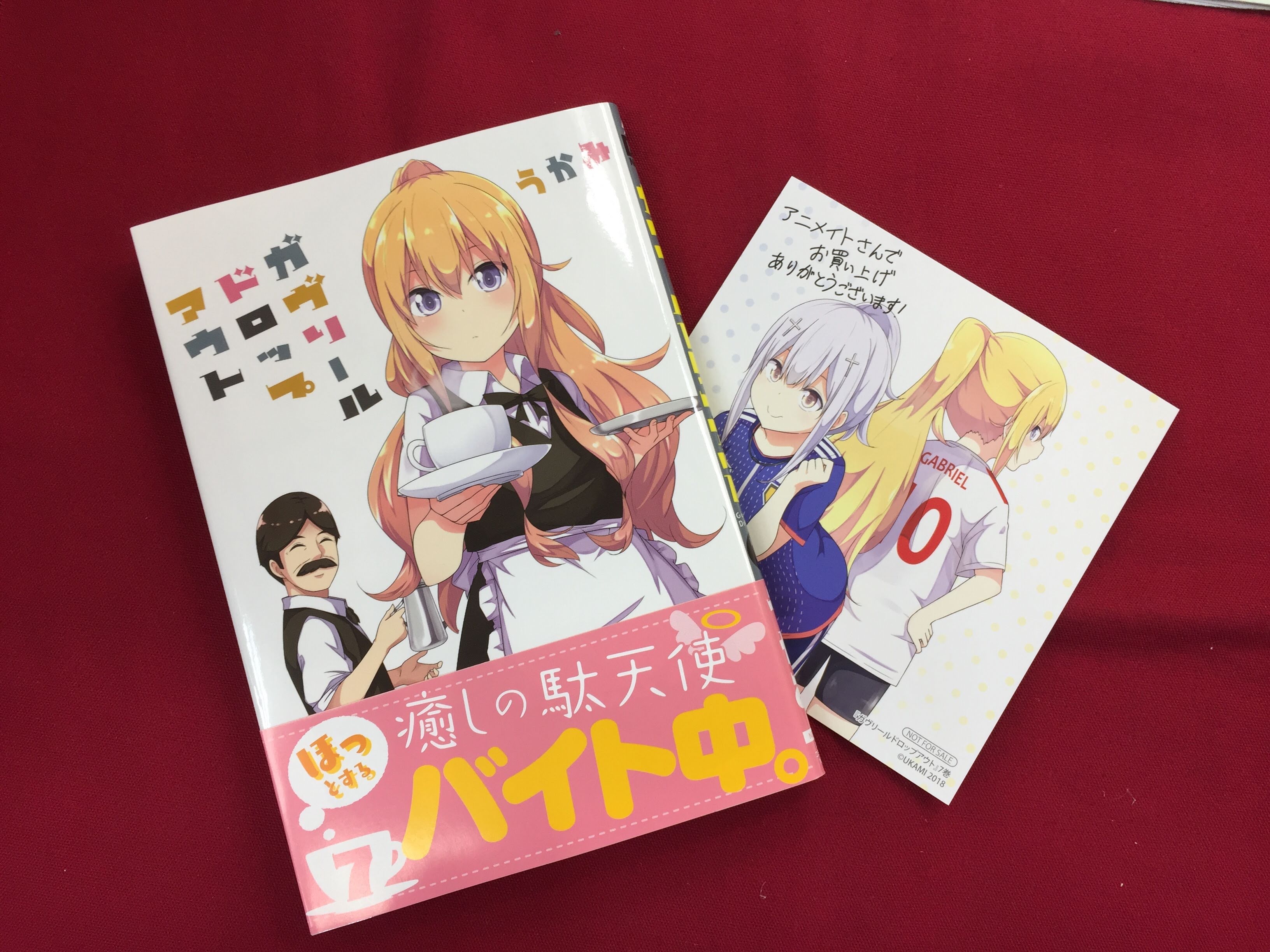تويتر アニメイト大宮 على تويتر 書籍販売情報 ガウリールドロップアウト 7巻 が好評発売中マメ アニメイト限定特典は 複製ミニ色紙 マメ うかみ 先生 T Co Zulyws4vl0