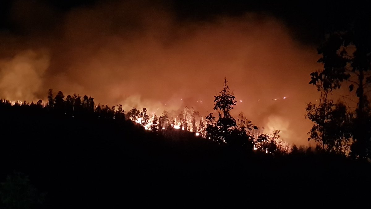 Chilesurf's tweet photo. Fuego en Polcura Puertecillo amenaza https://t.co/prelJHes38