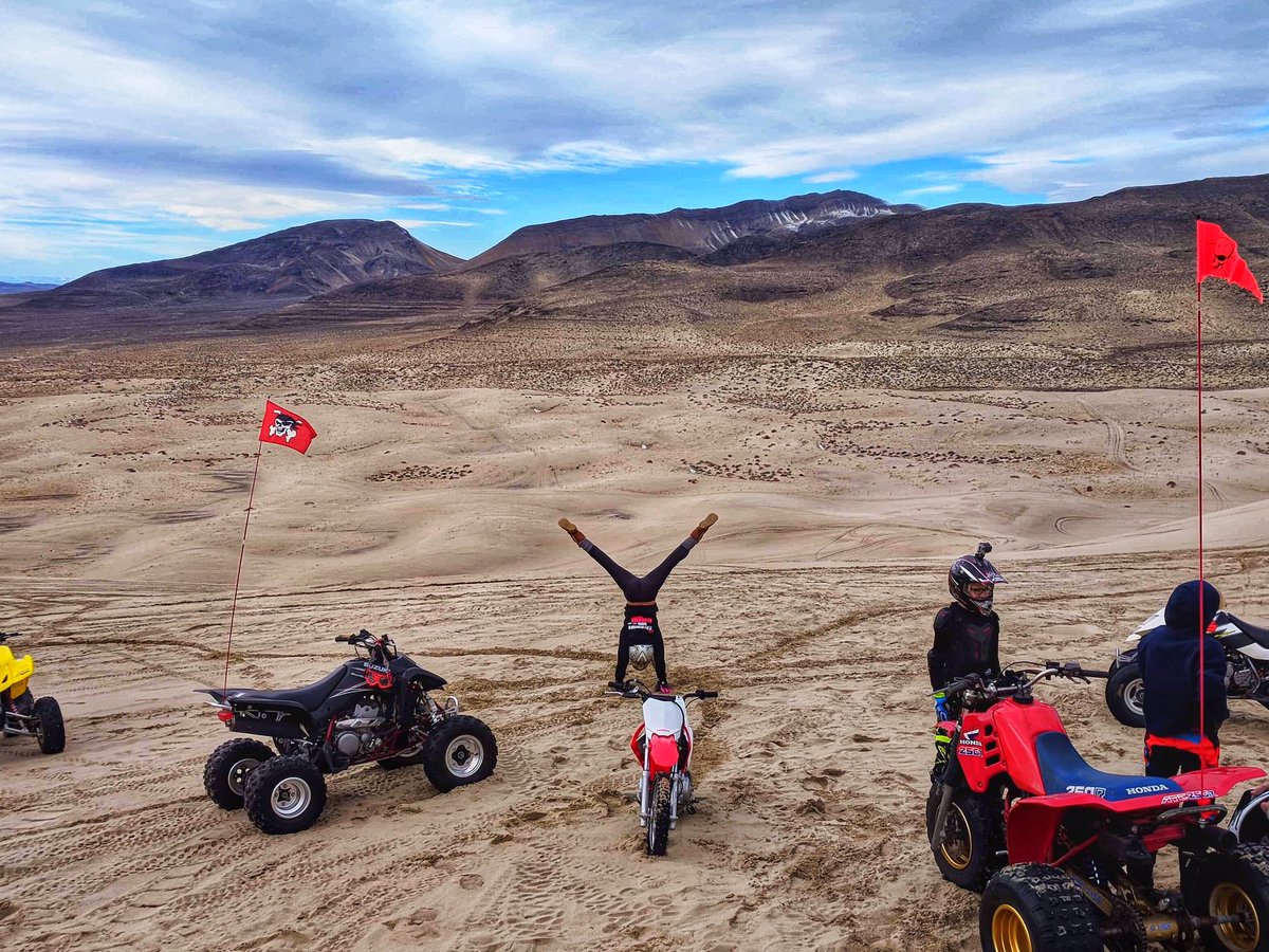 Lindsay Eskildsen tweet media