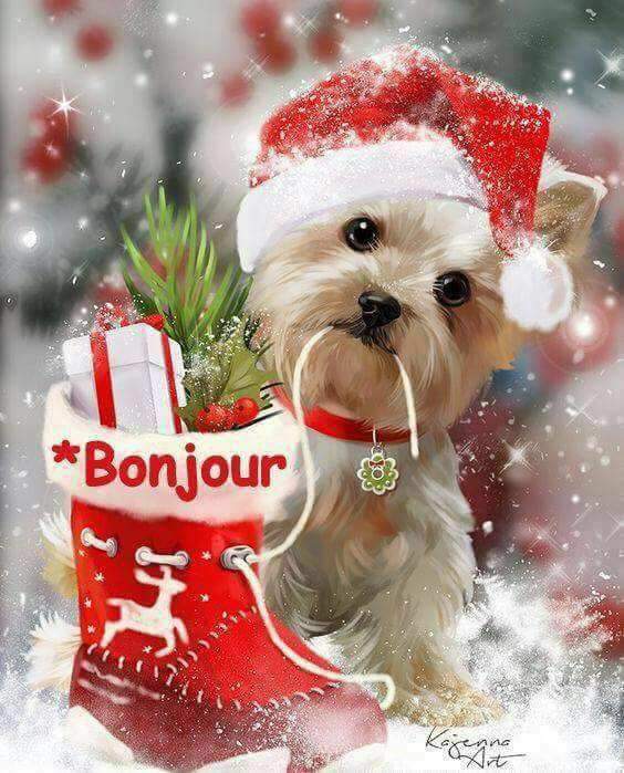 UwJZ4Uhpihtfm3n's tweet photo. صباح البرد والتكتكه صباحو فل https://t.co/imyyQofoo4