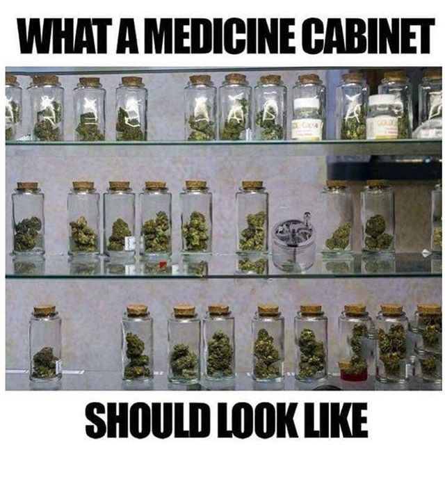 _chroniclady's tweet photo. Reposting @stickmanwear:
#mjlife #marjuana #cannabis #ganja #hemp #hemplife #cbd #cbdife #cannabisculture #holistichealth #holisticmedicine #nomalizeit #mmjhealthfacts #holistic #endocannaibinoidsystem #wellbeing #cannabinoids https://t.co/1v2PFNpXQw