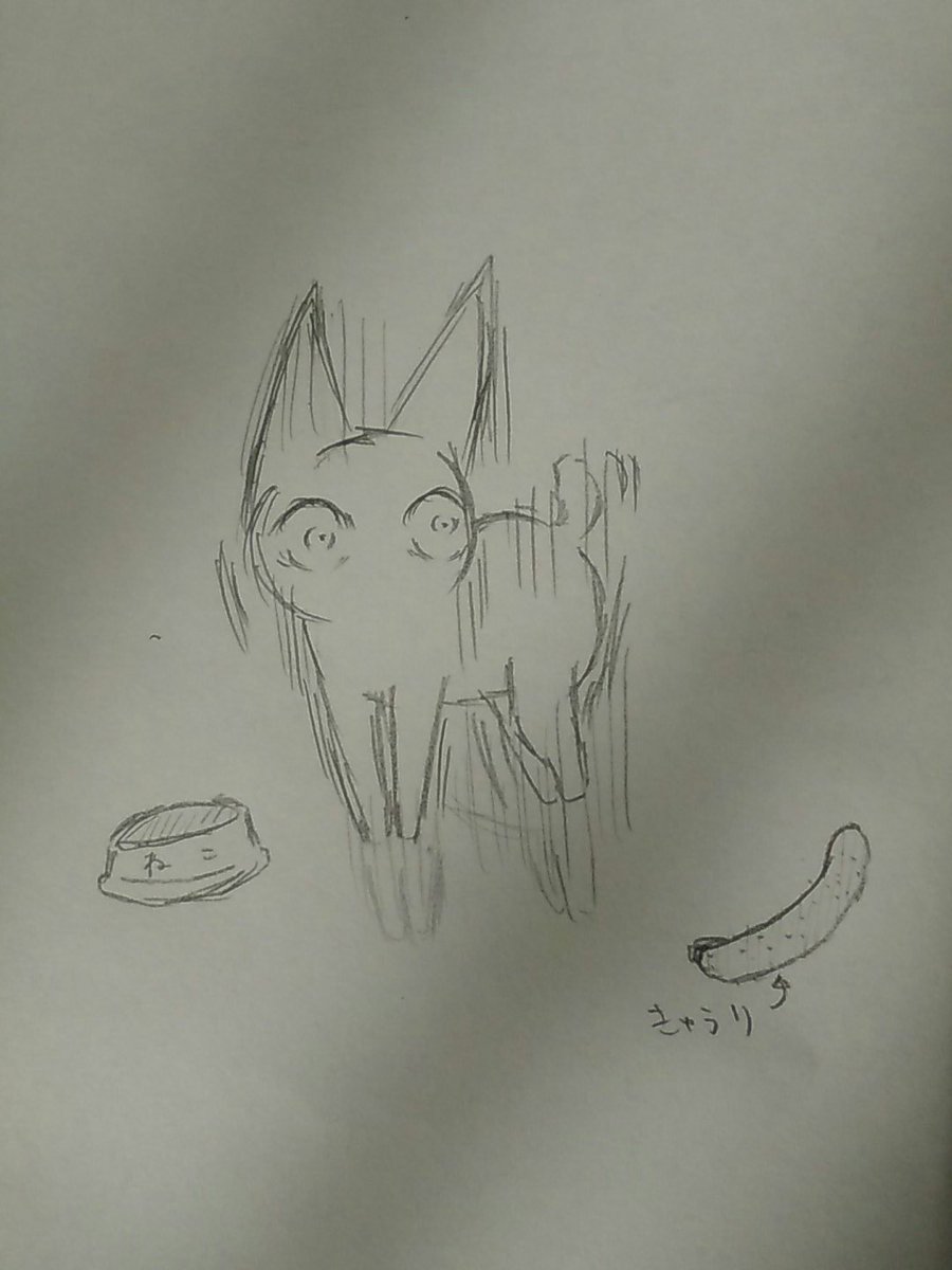 たま吾 アイス きゅうりにびっくりするねこです めっちゃ飛びます Scpイラスト Scp