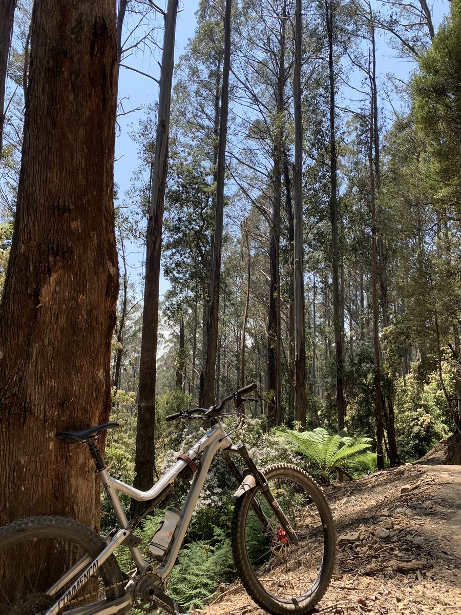 Wrapping up the Christmas break at #maydenabikepark #tassiestyle What a day for it!