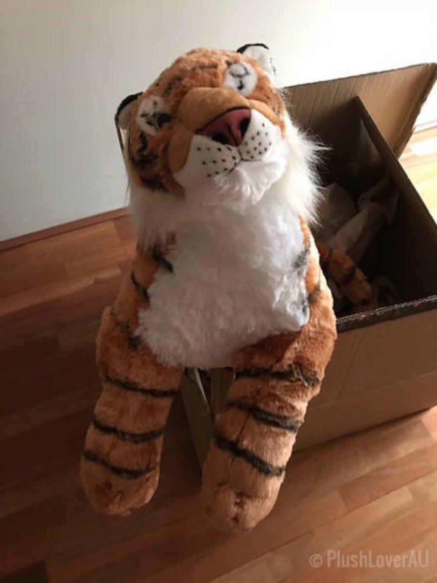(#TBT) My tiger plush popped out of the box by PlushLoverAU on @DeviantArt

deviantart.com/plushloverau/a…

#tigerplush #wildrepublic #cuddlekins #ThrowbackThursday