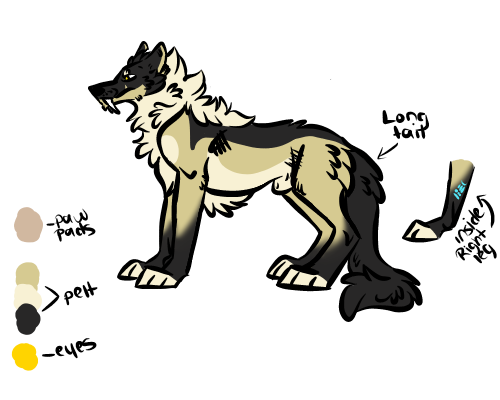 DunkinTheWolf's tweet photo. @emberfallplush Edward - Liulfr (Shield wolf)
He's technically my husband's alt sona - And have always wanted a plush of him. https://t.co/iXjhCafE5K