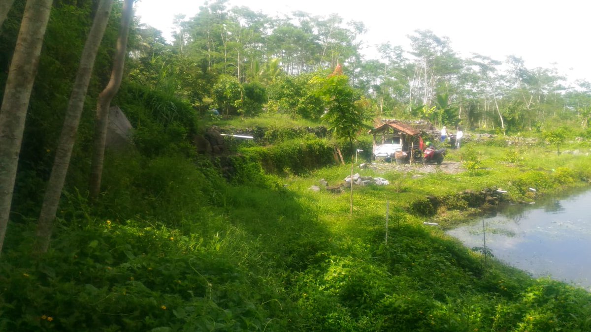 mbah_gundhul's tweet photo. Menemukan surga di belantara adalah bagian dari pergerakan Pariwisata #Indonesia sesungguhnya.
Disanalah, makna keindahan nyata adanya
#destinasiDigitalGenpi2019 #genPI #genWI #pesonaindonesia #wonderfulindonesia #destinasijawatengah #PasarGenPI https://t.co/k8jy5pLPPQ