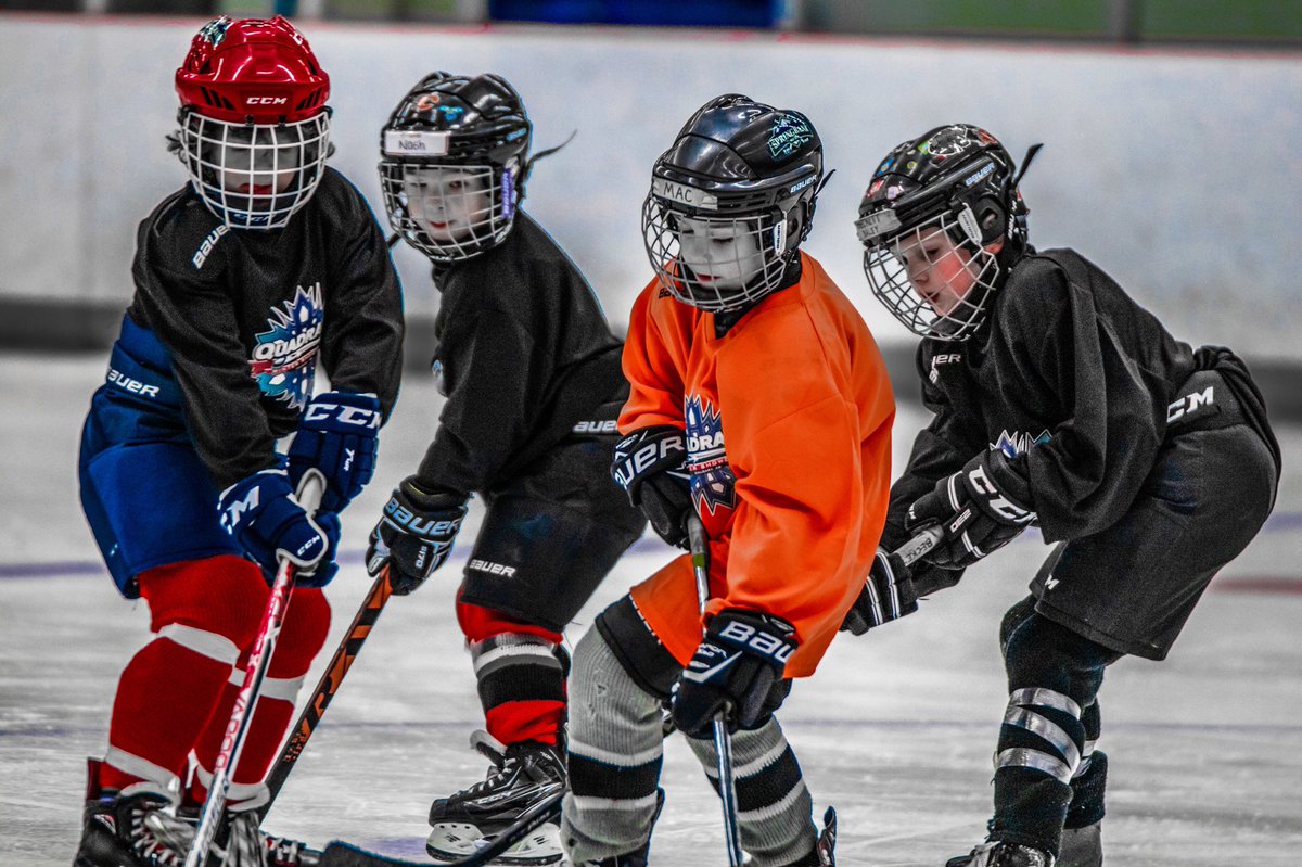 #quadrantwintershowcase #4on4 #srtimbits #2012born #havochockey