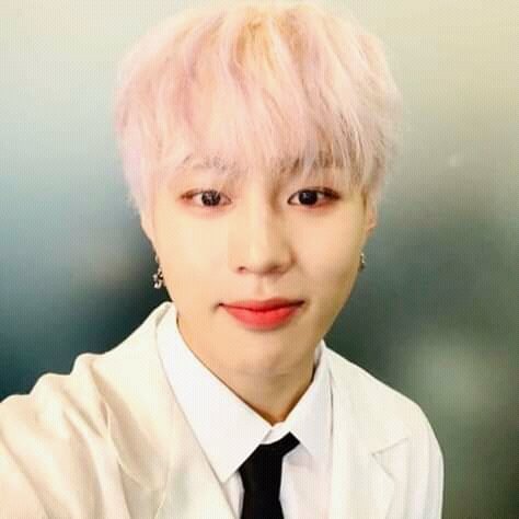 cloudwoonieeee's tweet photo. Let me introduce you my world, Ha Sungwoon https://t.co/y0Bp2PB4Xl