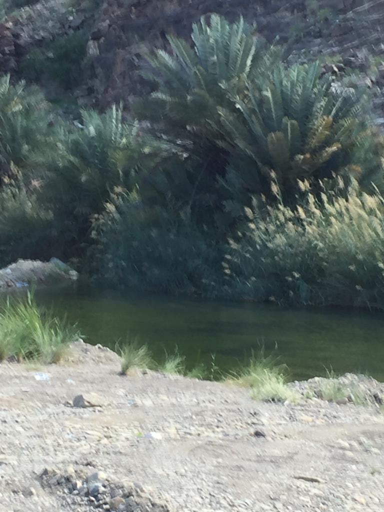 قضيت يوما جميلا قرب الماء والخضرة.