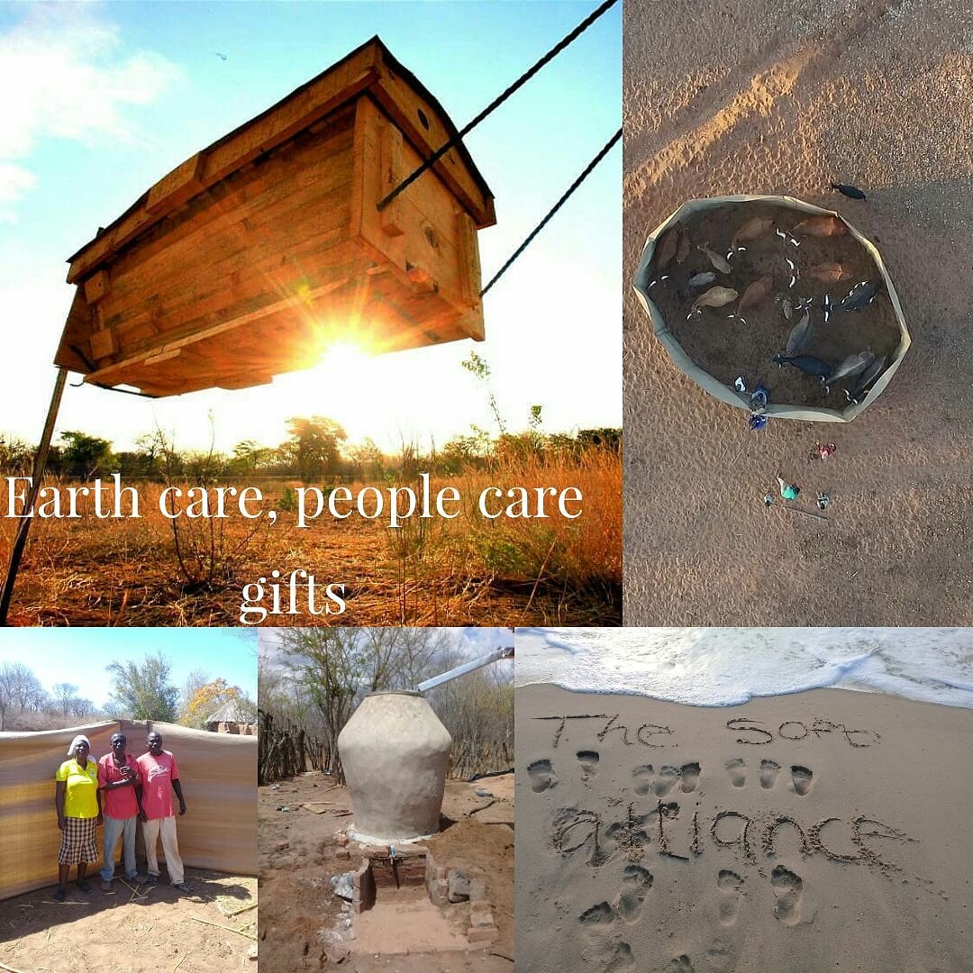 2018 has been a year full of vision coming to life. A vision where people and wildlife can live side by side in a landscape of abundance. To donate towards a gift for the communities we work with visit softfootalliance.org
Mobile bomas, rain-water jars or bee-hives