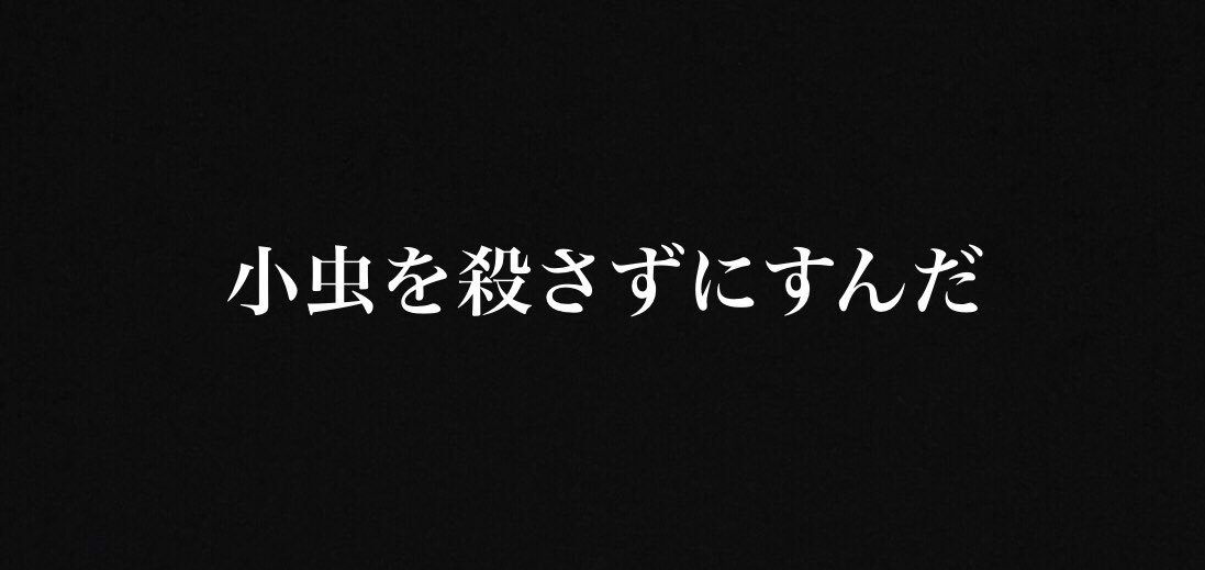 小虫 Twitter Search Twitter 小虫 Twitter Search Twitter