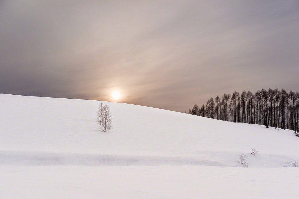 «Si no hay sueños,
ni el árbol puede erguirse
en la nieve.»

                Gyuuho 
[en Haikus en el corredor de la muerte, ed. de Elena Gallego &amp; Seiko Ota, <a href="/Hiperioneditor1/">Hiperioneditorial</a>]

🖼️ Kent Shiraishi